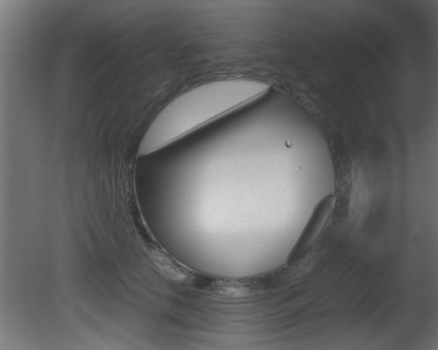 X0000081410658200701120919