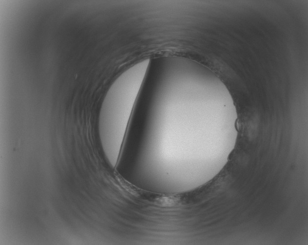 X0000081410660200701120919