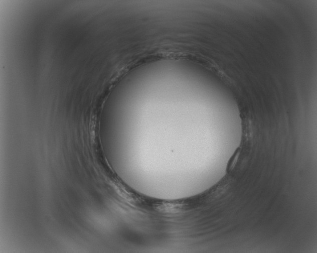 X0000081410664200701120919