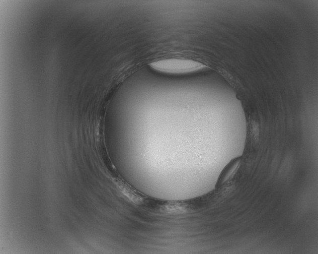 X0000081410668200701120919