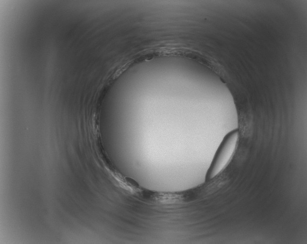X0000081410670200701120919