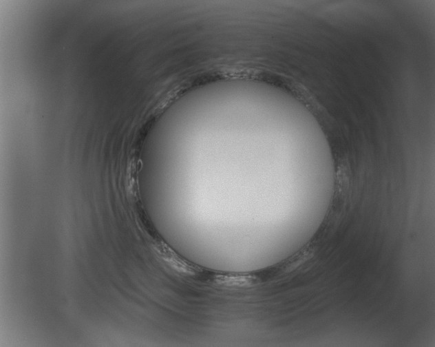X0000081410671200701120919