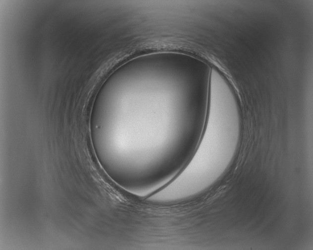 X0000081410673200701120919
