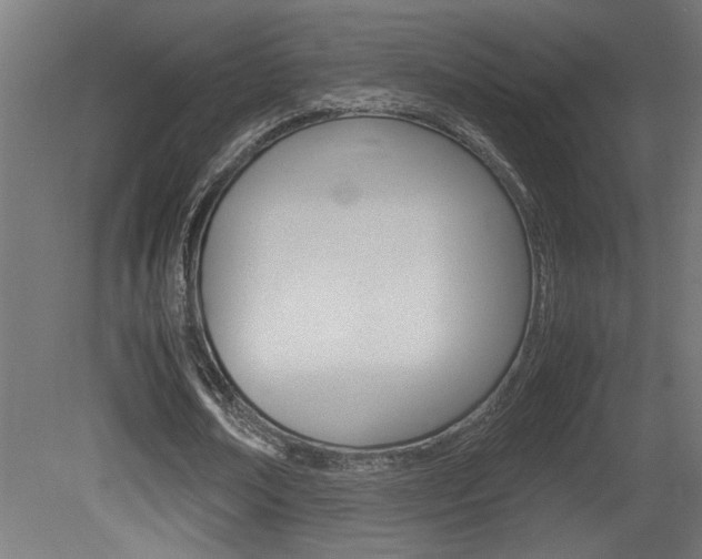 X0000081410674200701120918