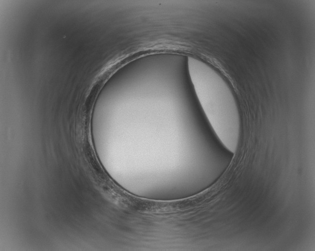 X0000081410675200701120918