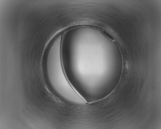 X0000081410676200701120918