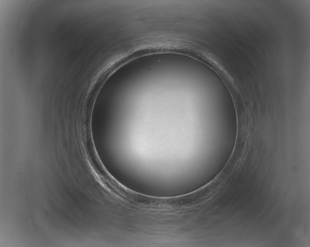 X0000081410677200701120918