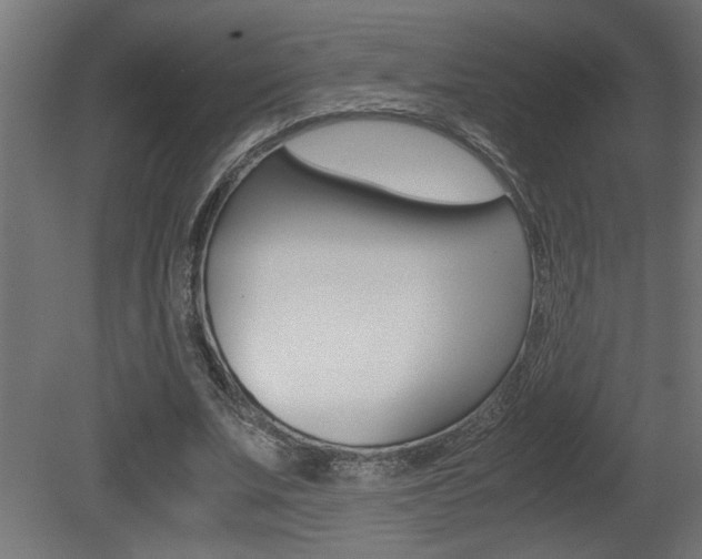 X0000081410679200701120918