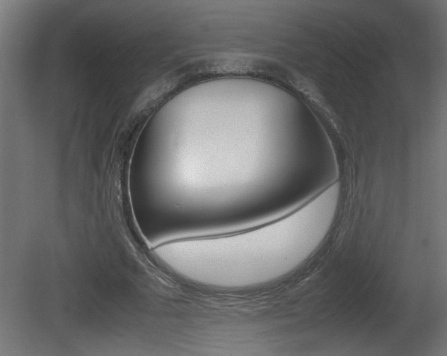 X0000081410681200701120918