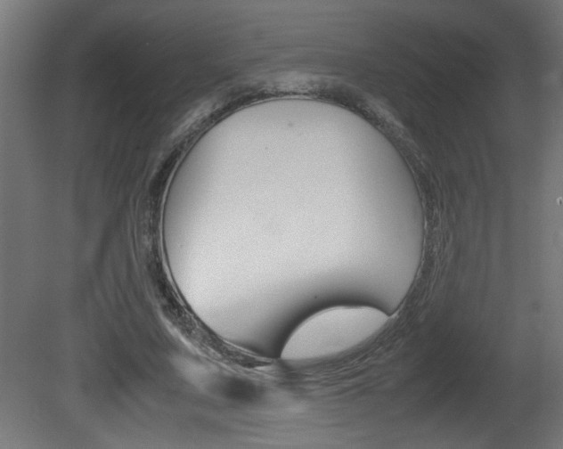X0000081410683200701120918
