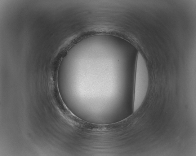 X0000081410688200701120918