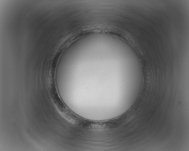 X0000081410690200701120918