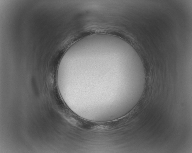 X0000081410691200701120918
