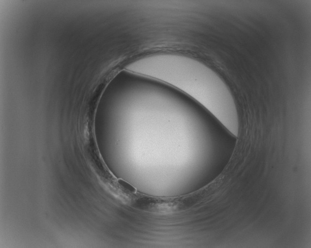 X0000081410692200701120918