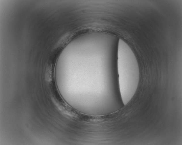 X0000081410694200701120918