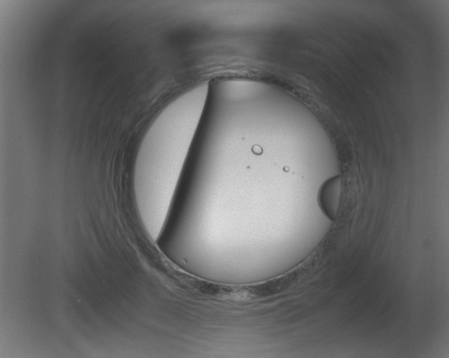 X0000081410695200701120918