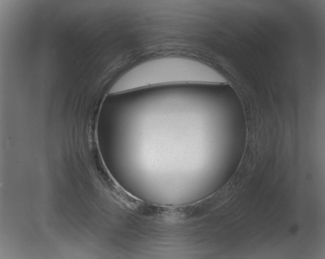 X0000081410696200701120918
