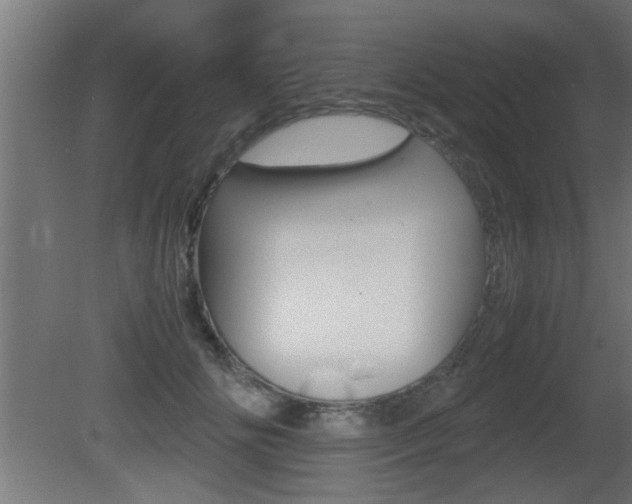 X0000081410702200701120918