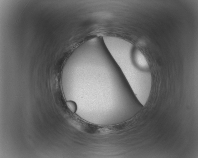 X0000081410703200701120918