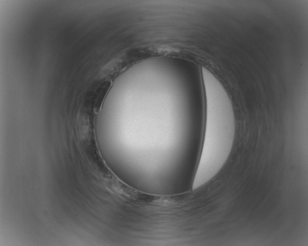 X0000081410704200701120918