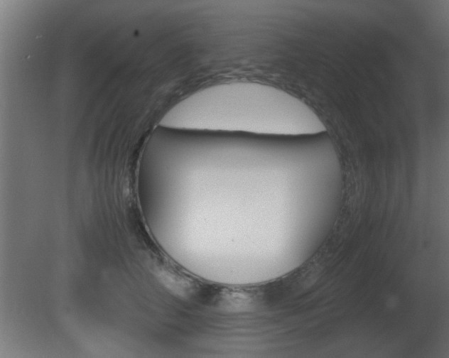 X0000081410706200701120918
