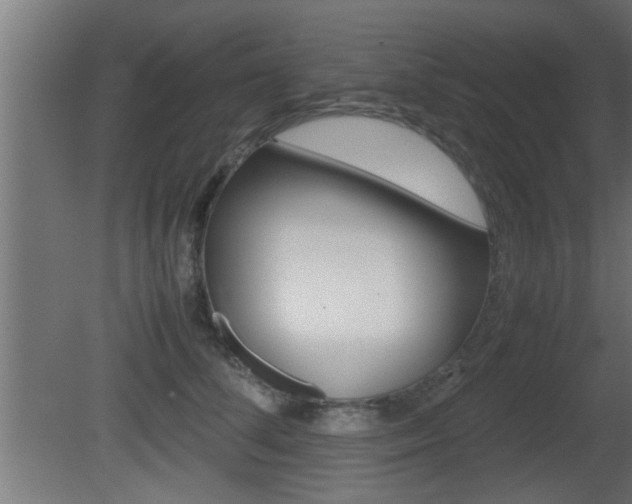 X0000081410708200701120918