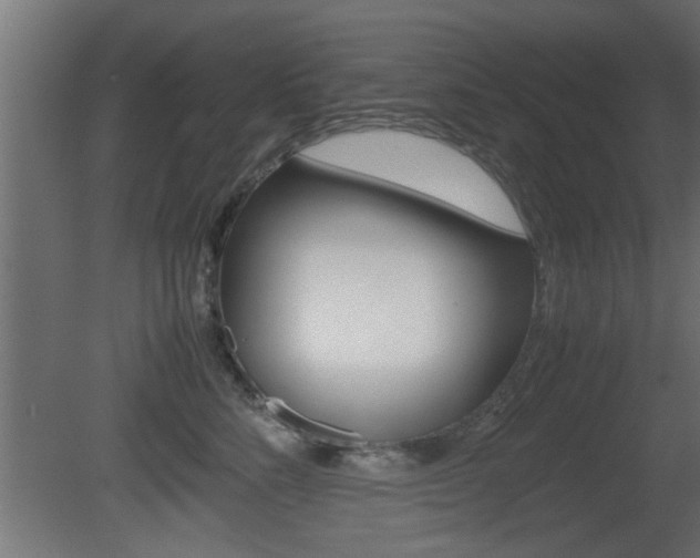 X0000081410712200701120918