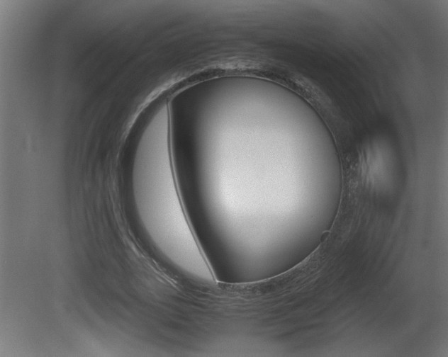 X0000081410727200701120917