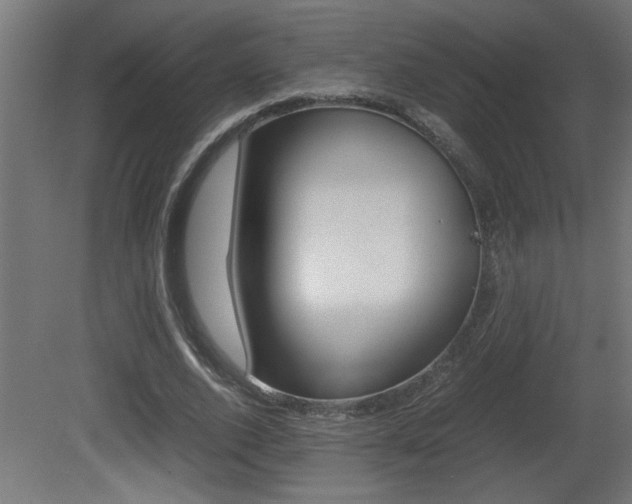 X0000081410728200701120917