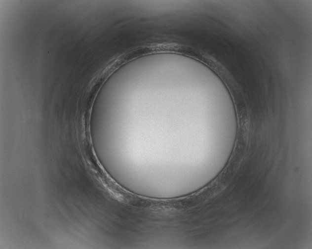 X0000081410729200701120917