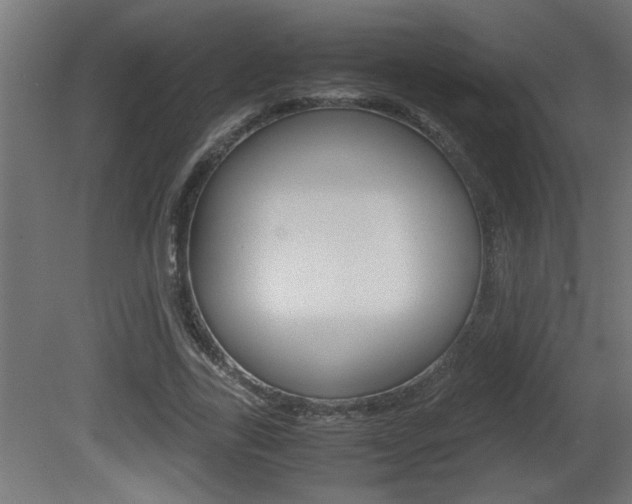 X0000081410731200701120917
