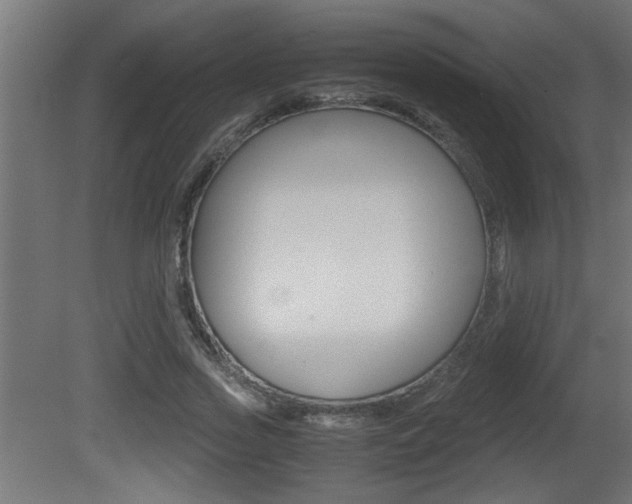 X0000081410733200701120917
