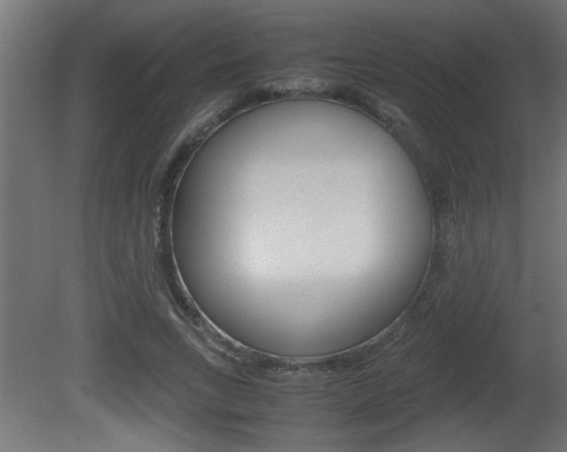 X0000081410735200701120917
