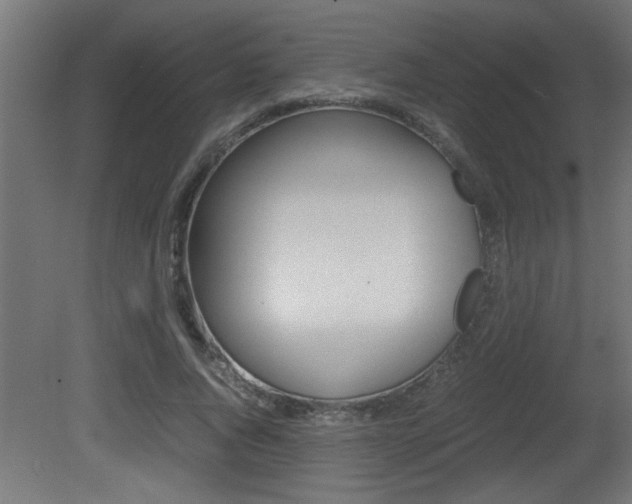 X0000081410736200701120917