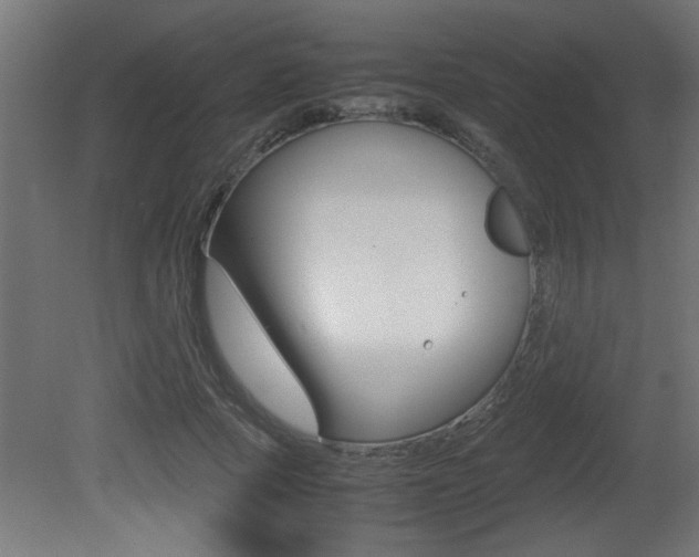 X0000081410737200701120917