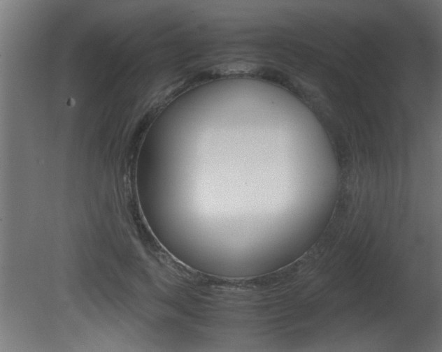 X0000081410743200701120917