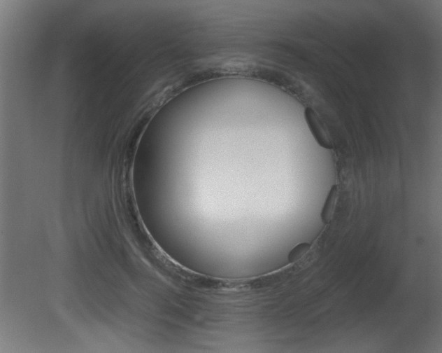 X0000081410744200701120917