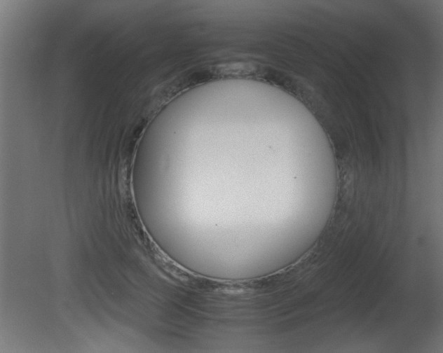 X0000081410745200701120917