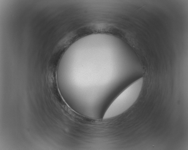 X0000081410746200701120917