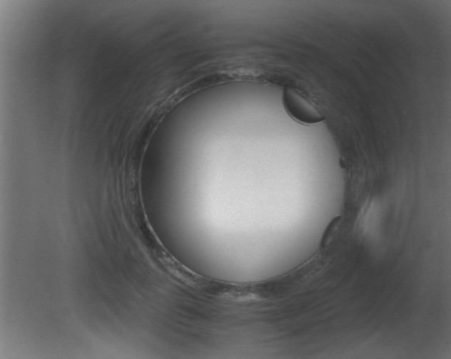 X0000081410747200701120917