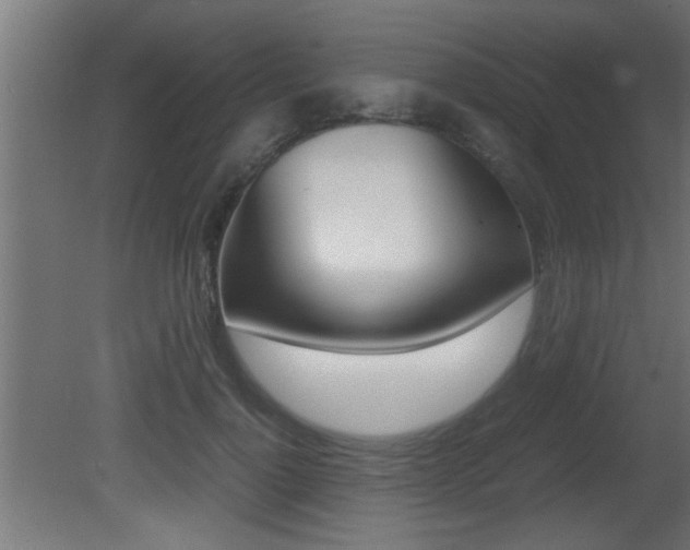 X0000081410748200701120917