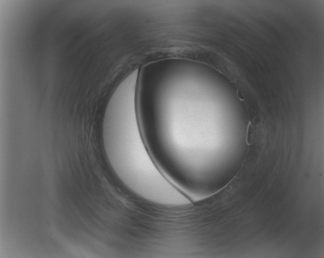 X0000081410750200701120917