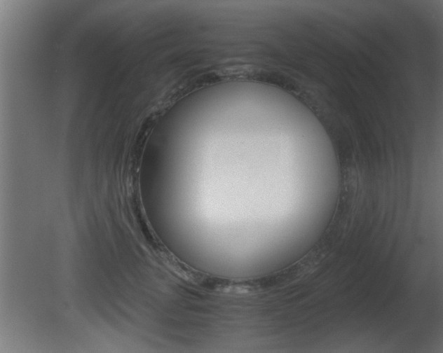 X0000081410751200701120917
