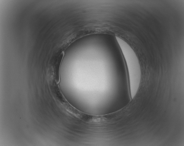 X0000081410752200701120917