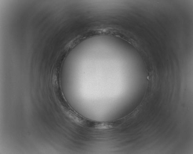 X0000081410754200701120917