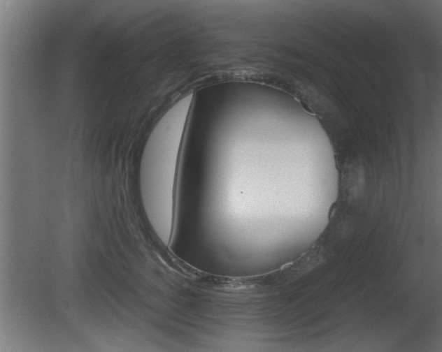 X0000081410760200701120918