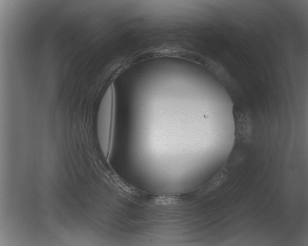 X0000081410762200701120918