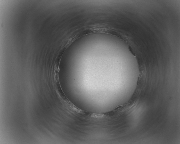 X0000081410767200701120918