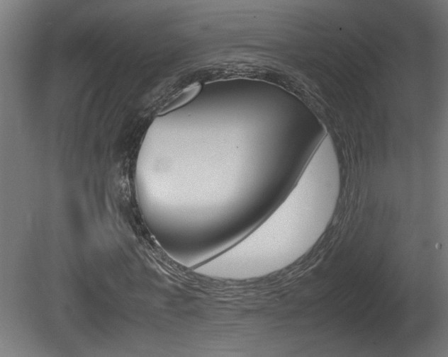 X0000081410771200701120917