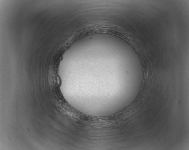 X0000081410772200701120917